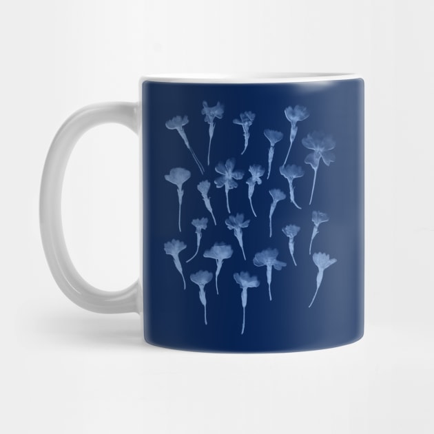 Cyanotype Primrose by zeljkica